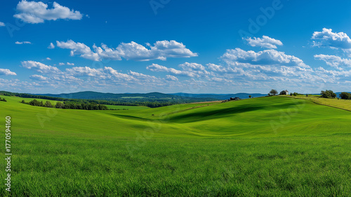 russia summer landscape - green fileds, the blue sky and white c