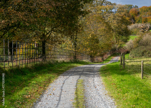 A country lane in Autumn