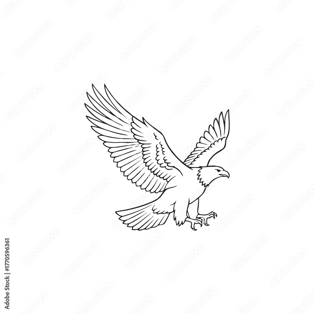 Fototapeta premium line illustration of an eagle
