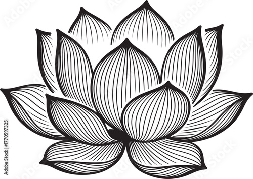 Intricate vector botanical illustration of a stylized flower featuring elegant line art petals and natural design