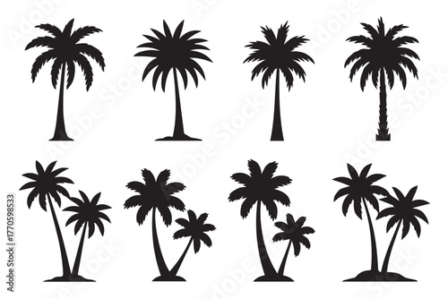 palm tree silhouette pack single palms and paired palms vector