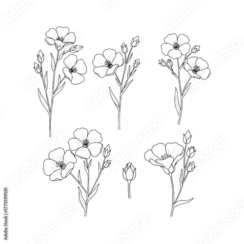Floral botanical black line art bouquets.