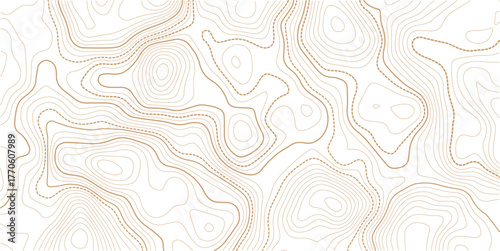 Topographic map background. Geographic line map with elevation assignments. Contour background geographic grid. Vector illustration. transparent background