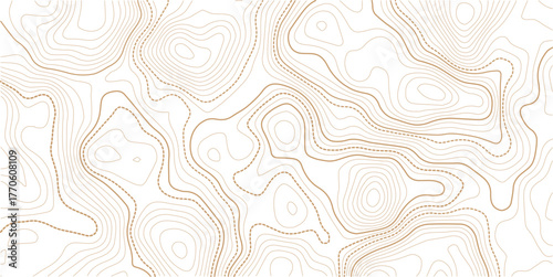 Topographic map background. Geographic line map with elevation assignments. Contour background geographic grid. Vector illustration. transparent background
