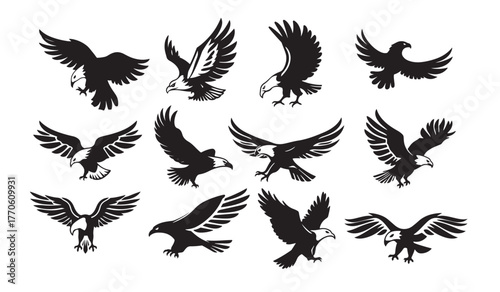 Dynamic collection twelve silhouette illustrations eagles in flight, showcasing various wing positions and angles