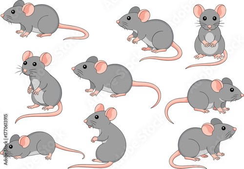 Cartoon gray mouse set, cute rodent poses, animal character design, vector clipart for children, educational, pet theme, isolated illustrations