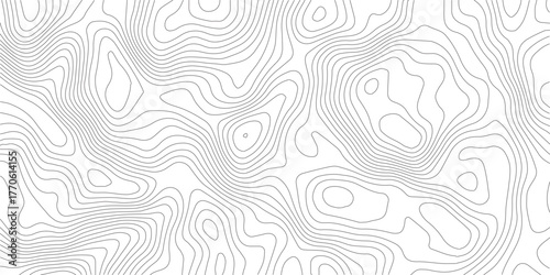 Geographic contour map with elevation lines. Detailed terrain visualization concept. Vector illustration of landscape elevations and natural relief.
