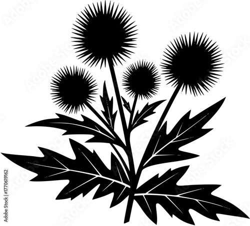 Silhouette vector illustration of a scottish thistle flower with leaves, creating a classic and elegant design