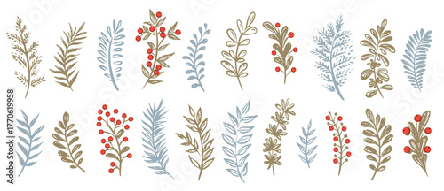 Branch set on white, hand drawn, vector.	
