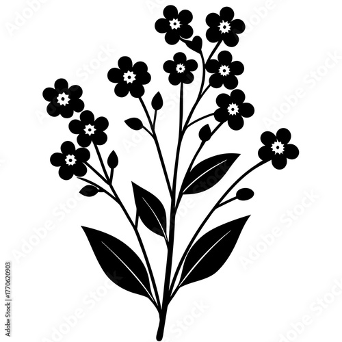 Black silhouette of forget me not flowers and leaves on a white background