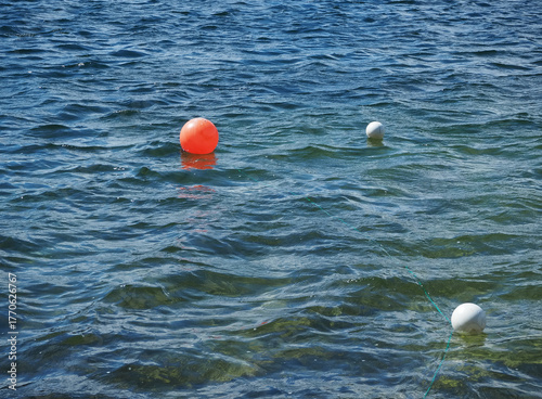 Buoys on the water