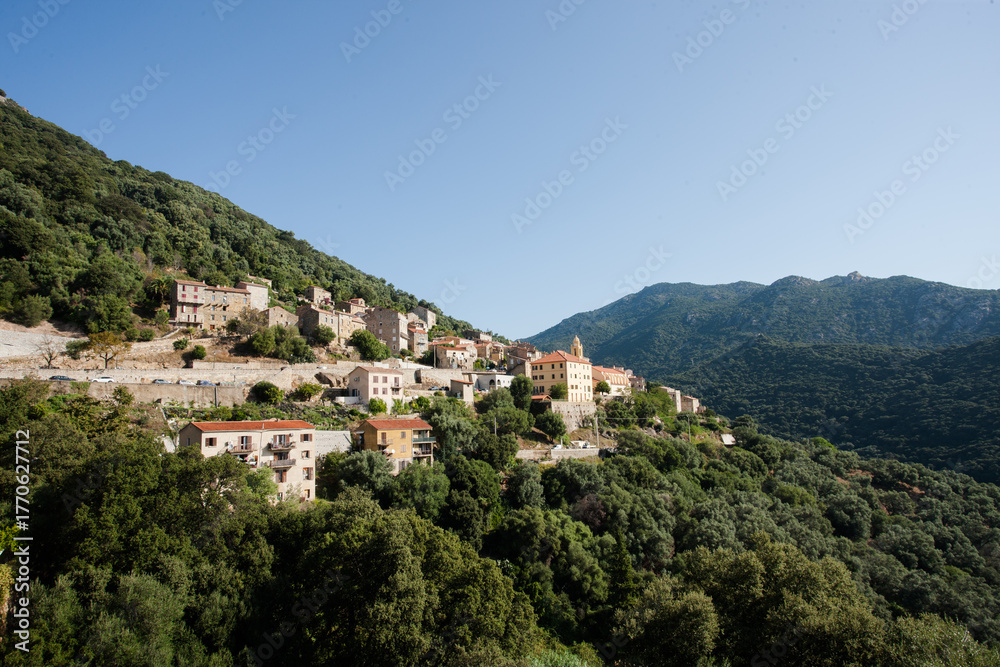 Fototapeta premium Landscape view of Cargèse village in Corsica, France. Traditional Mediterranean houses in green mountain scenery under a bright summer sky. Beautiful travel destination in southern Europe.