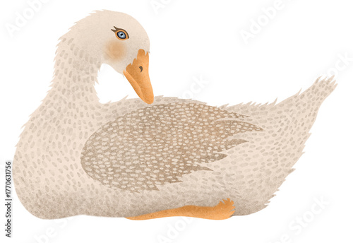 Photos Watercolor cartoon toy goose