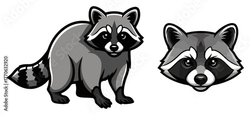 Cute raccoon mascot bundle standing sitting headshot forest bandit