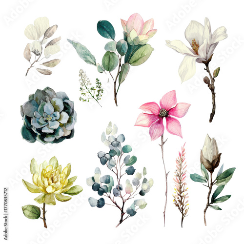 Vibrant flowers and plants on white