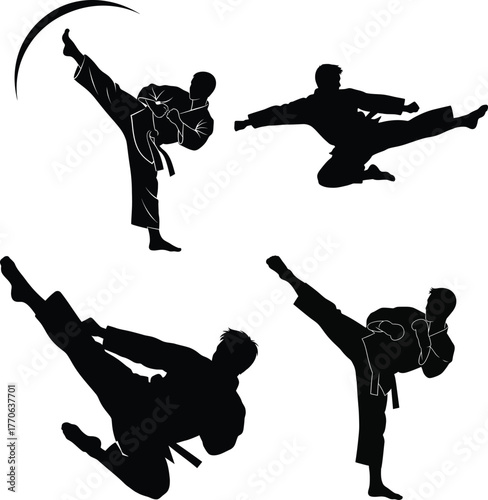 Karate martial arts fighter silhouette in action dynamic poses performing kicks vector