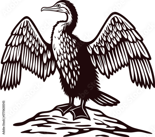 Detailed vintage drawing of cormorant bird standing on rock with wings spread, hand drawn engraving illustration