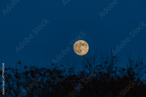 Full moon over Cape Cod