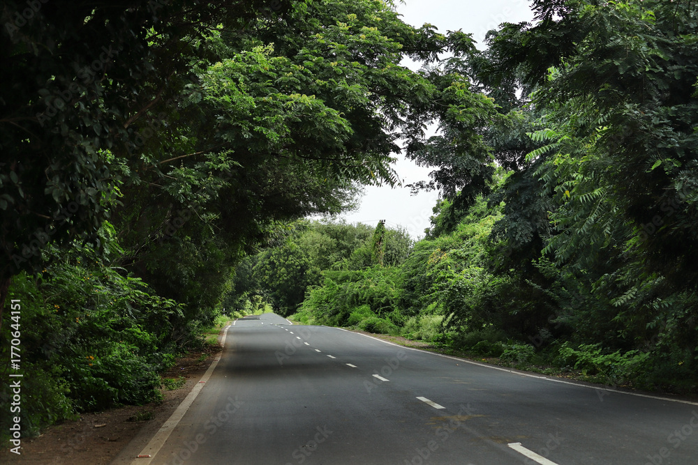Obraz premium In Indian small village and rural areas in Gujarat India. horizontal empty road, farm land, and lane of electricity pole beautiful village landscape. growing tree on long road. countryside of india.