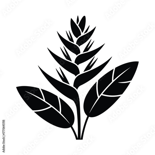 Black silhouette of a tropical heliconia flower and leaves