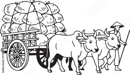 bullock cart