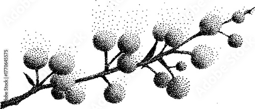Vintage black and white berry branch with frost effect for seasonal design