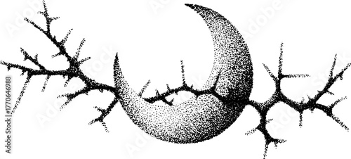 Black and white crescent moon wrapped in thorny branches - abstract monochrome art for posters