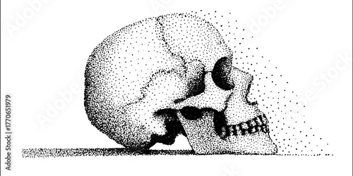 Reflective skull in mirror: black and white dotwork illustration for dark art design