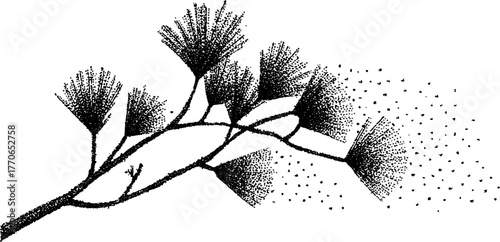 Winter pine branch with snow in vintage black and white design for seasonal art