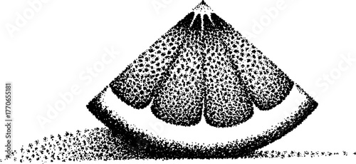 Black and white citrus fruit slice art with halftone effect for retro design
