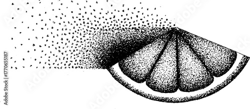 Black and white citrus fruit slice with halftone effect for artistic design