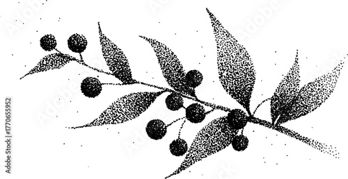 Vintage stipple illustration of mistletoe sprig for christmas design and decoration