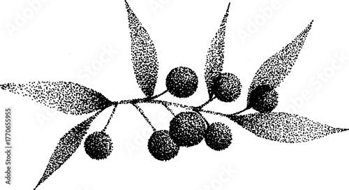 Classic mistletoe sprig dotwork illustration for holiday decor and design