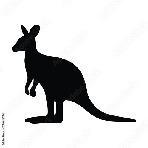 Silhouette of a kangaroo standing on a white background in vector form