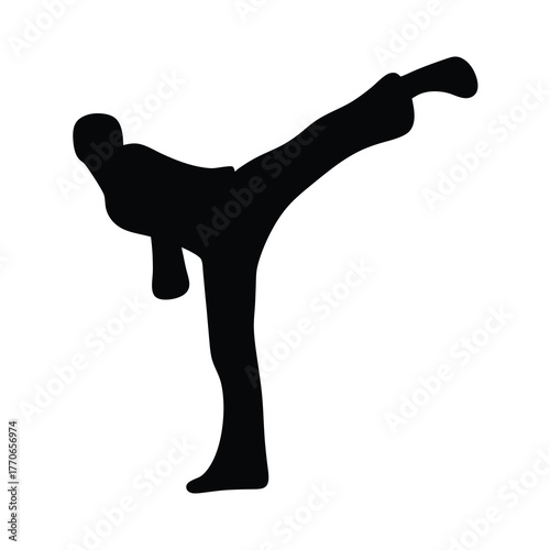 Silhouette of a Martial Artist Performing a High Kick in Black Color