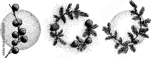 Black and white fir branch wreath illustration for seasonal decoration and design
