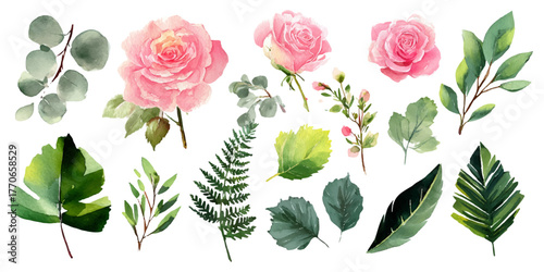 Delicate watercolor collection of pink roses and assorted green leaves and ferns