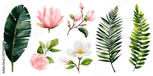 Collection of delicate watercolor botanical illustrations featuring tropical leaves and soft pink flowers