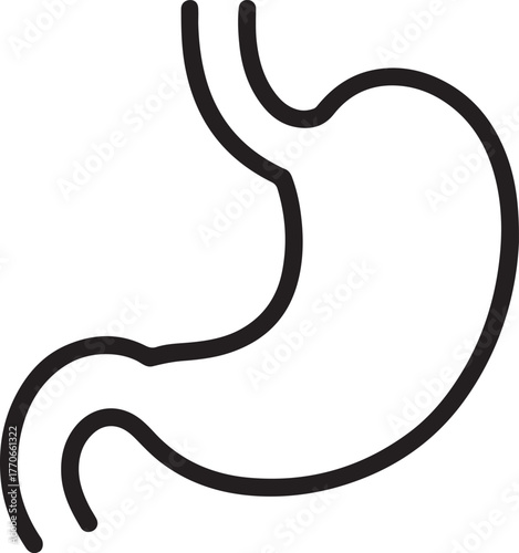 Simple line drawing of the human stomach showing its j shape and digestive tract connection