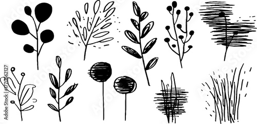 Minimalist abstract black and white doodles of flora for creative design and decor