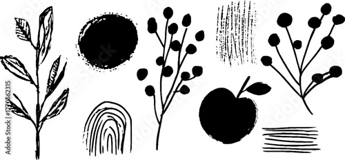 Minimalist abstract black and white doodles featuring fruit and botanical elements for artistic design