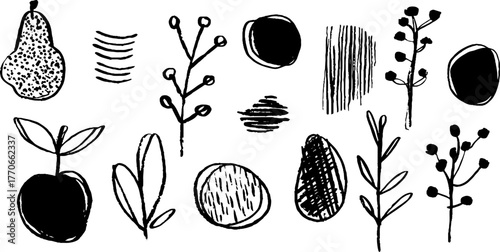 Minimalist abstract doodles of fruit with botanical elements for creative design