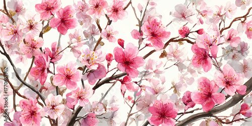 pink cherry blossom branches in full bloom seasonal springtime floral beauty nature pattern