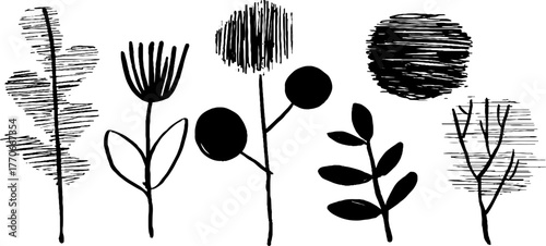 Minimalist abstract black and white plant doodles for modern design