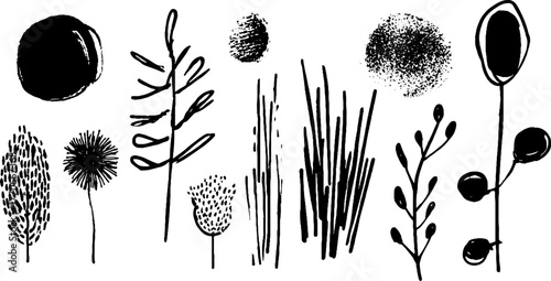 Minimalist abstract black and white plant doodles for design and decoration