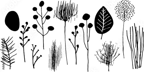 Minimalist abstract black and white plant doodles for creative design