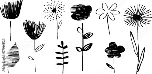 Minimalist abstract black and white doodles of seasonal floral elements for creative design