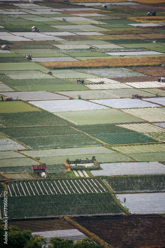 Aerial view of colorful patchwork fields with distinct geometric patterns and textures. Lombok, West Nusa Tenggara, Indonesia Lombok, Sembalun, Indonesia