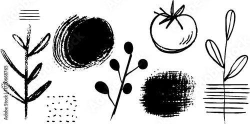 Minimalist abstract tomato and plant doodles with brushstrokes