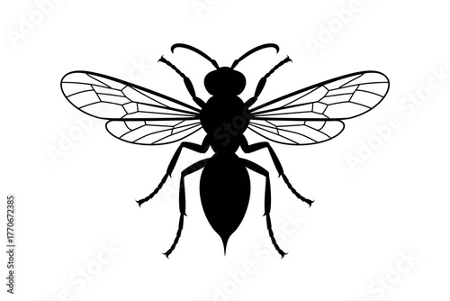 A silhouetted wasp illustration against a white background.